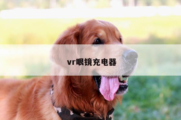  vr眼镜充电器【b体育官网】