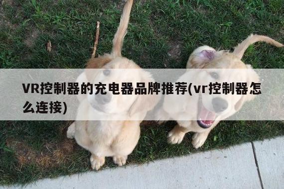 Bsports必一体育：VR控制器的充电器品牌推荐(vr控制器怎么连接)