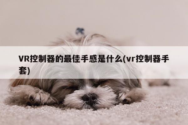 VR控制器的最佳手感是什么(vr控制器手套)-b体育官网