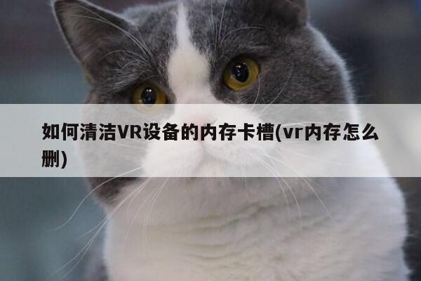 Bsport体育在线官网|如何清洁VR设备的内存卡槽(vr内存怎么删)