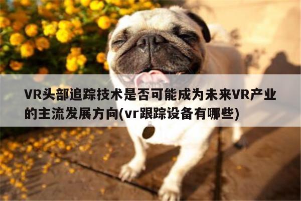 VR头部追踪技术是否可能成为未来VR产业的主流发展方向(vr跟踪设备有哪些)_Bsport体育在线官网