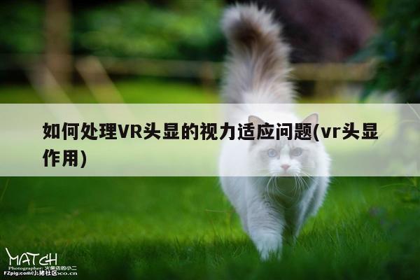 如何处理VR头显的视力适应问题(vr头显作用)|bsports官网