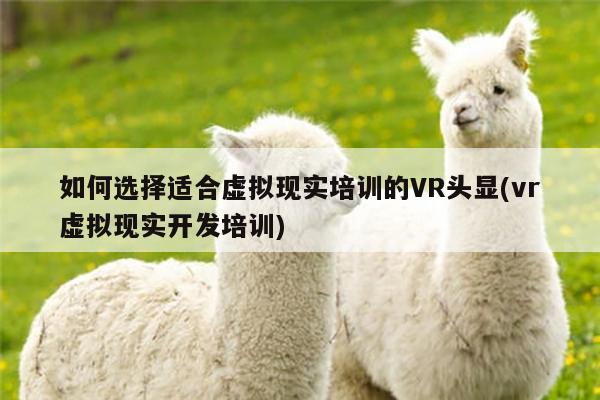 bsports官网|如何选择适合虚拟现实培训的VR头显(vr虚拟现实开发培训)