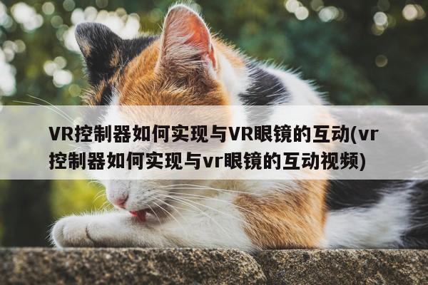 VR控制器如何实现与VR眼镜的互动(vr控制器如何实现与vr眼镜的互动视频)|bsports官网