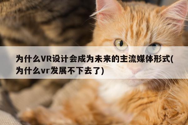 b体育官网：为什么VR设计会成为未来的主流媒体形式(为什么vr发展不下去了)