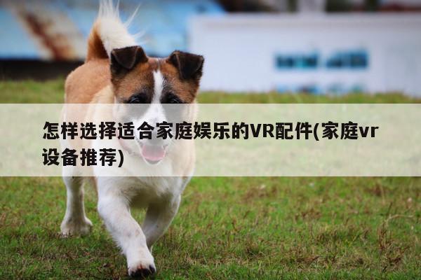 Bsport体育在线官网|怎样选择适合家庭娱乐的VR配件(家庭vr设备推荐)