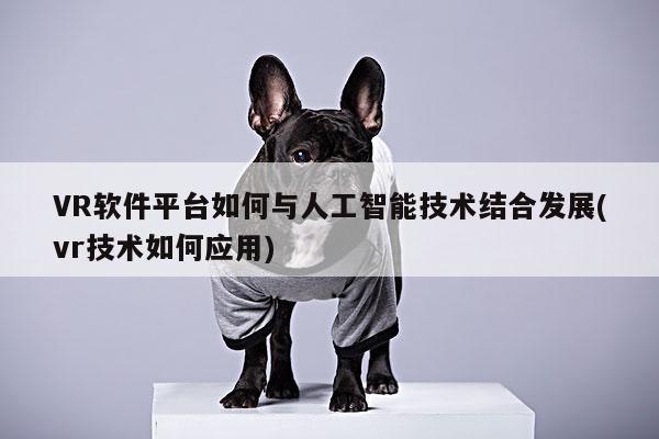 VR软件平台如何与人工智能技术结合发展(vr技术如何应用)-Bsport体育在线官网