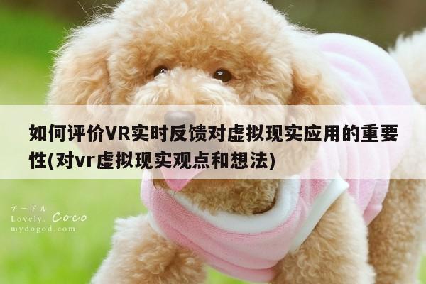 如何评价VR实时反馈对虚拟现实应用的重要性(对vr虚拟现实观点和想法)【b体育官网】