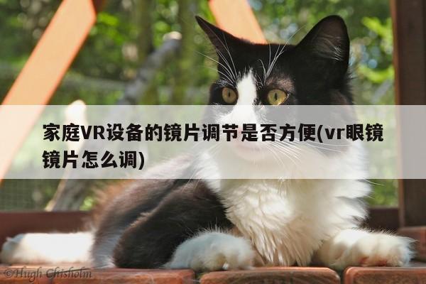 家庭VR设备的镜片调节是否方便(vr眼镜镜片怎么调)：Bsports必一体育