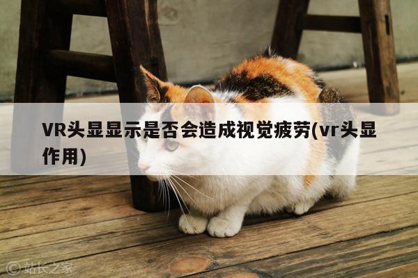 b体育官网|VR头显显示是否会造成视觉疲劳(vr头显作用)