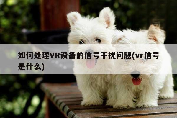 如何处理VR设备的信号干扰问题(vr信号是什么)|Bsport体育在线官网