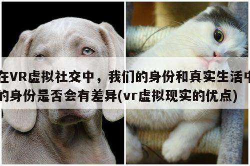 bsports官网：在VR虚拟社交中，我们的身份和真实生活中的身份是否会有差异(vr虚拟现实的优点)