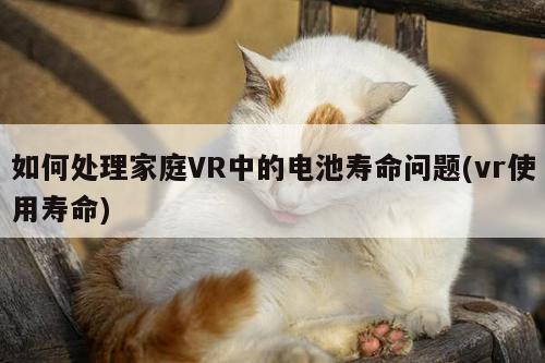 如何处理家庭VR中的电池寿命问题(vr使用寿命)|Bsport体育在线官网