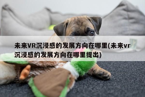 bsports官网_未来VR沉浸感的发展方向在哪里(未来vr沉浸感的发展方向在哪里提出)