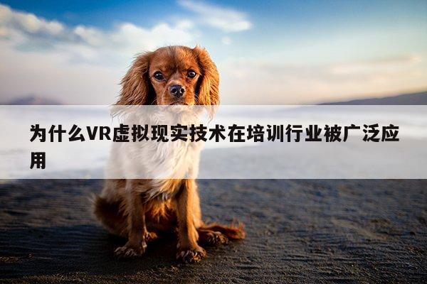 为什么VR虚拟现实技术在培训行业被广泛应用_Bsport体育在线官网