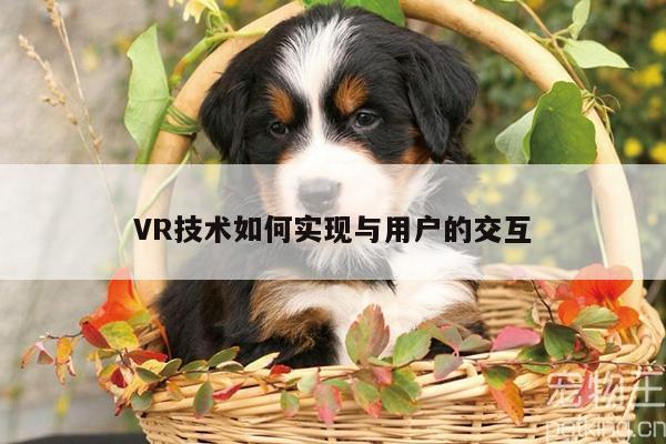 VR技术如何实现与用户的交互【bsports官网】