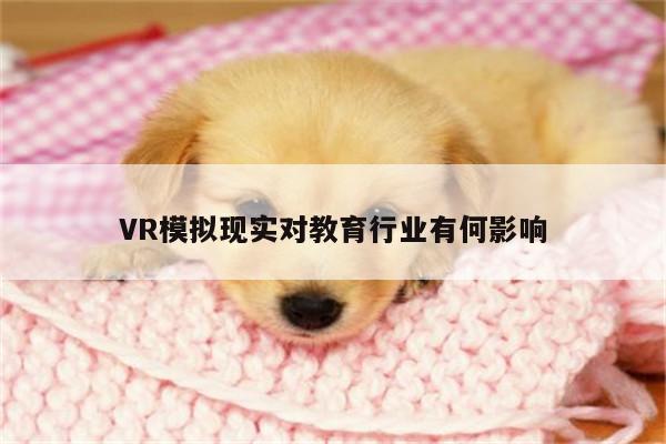 VR模拟现实对教育行业有何影响：bsports官网