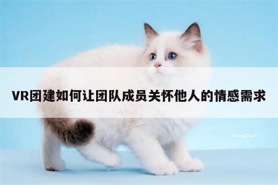 【b体育官网】VR团建如何让团队成员关怀他人的情感需求