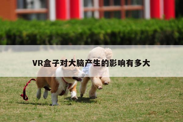 VR盒子对大脑产生的影响有多大-Bsport体育在线官网