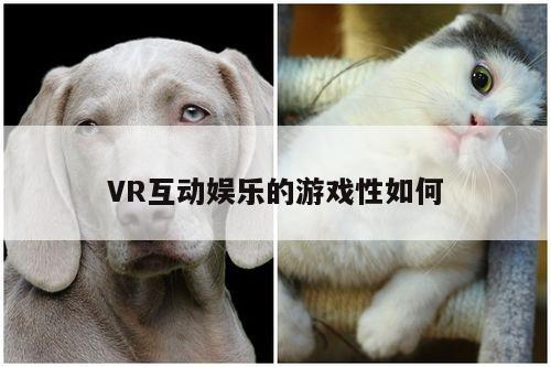 【bsports官网】VR互动娱乐的游戏性如何