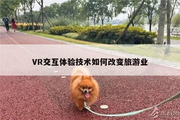 VR交互体验技术如何改变旅游业_b体育官网