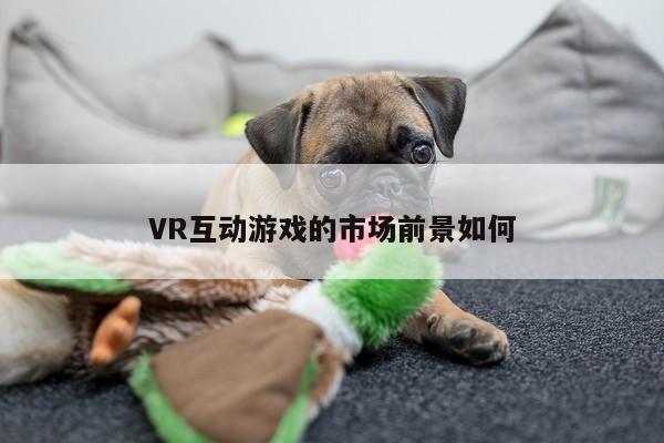 VR互动游戏的市场前景如何_Bsports必一体育