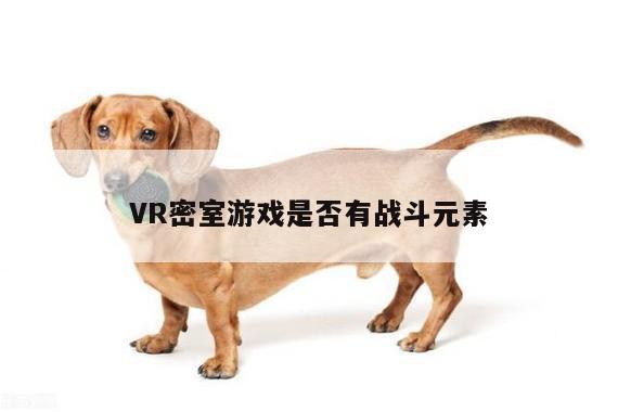 VR密室游戏是否有战斗元素：b体育官网