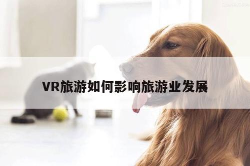 Bsports必一体育|VR旅游如何影响旅游业发展