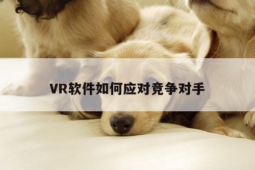 【b体育官网】VR软件如何应对竞争对手