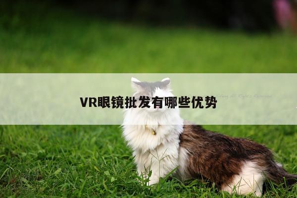 Bsport体育在线官网-VR眼镜批发有