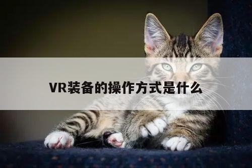 Bsports必一体育-VR装备的操作方式是什么