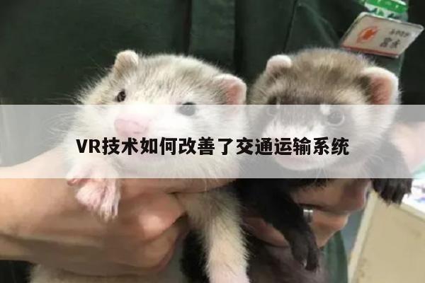 VR技术如何改善了交通运输系统-Bsport体育在线官网