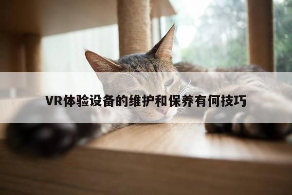 VR体验设备的维护和保养有何技巧【Bsports必一体育】