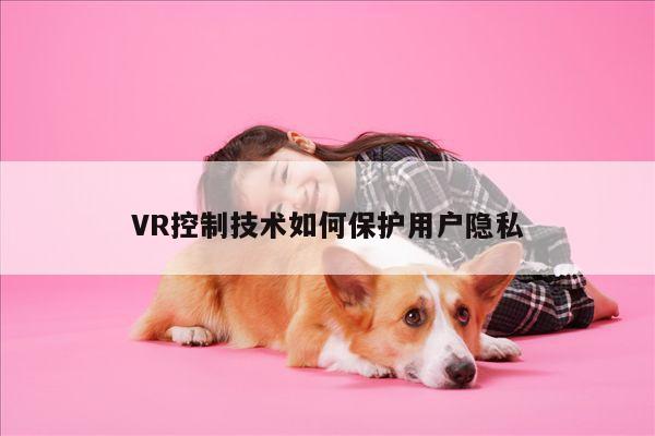 VR控制技术如何保护用户隐私_Bspor